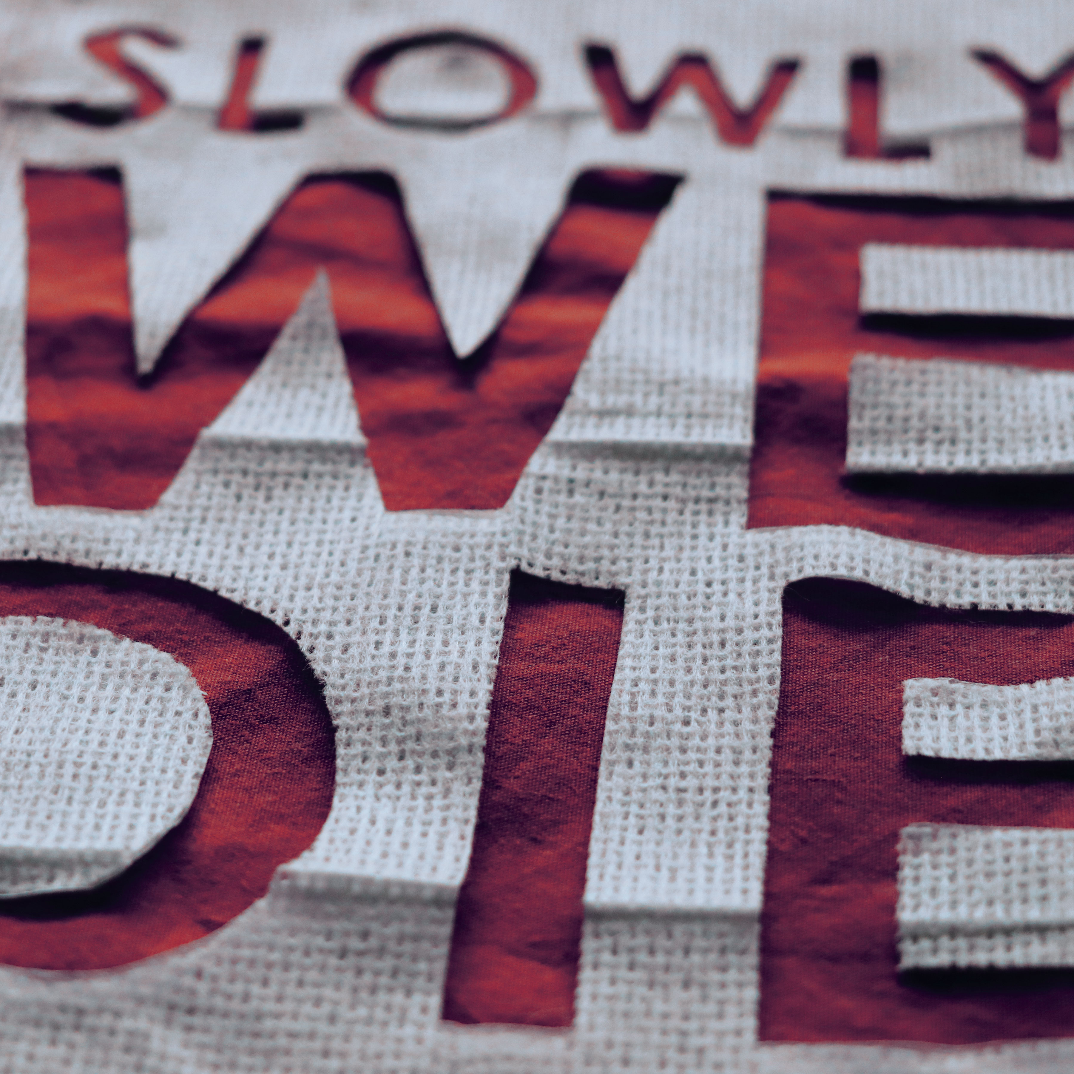 Slowly We Die Cover Art